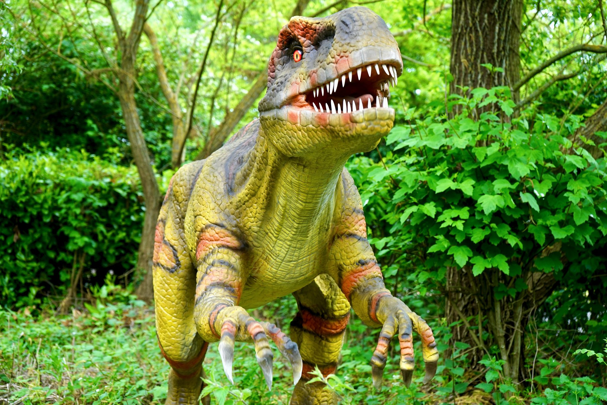 super-dinosaur-blog-check-info-about-dinosaurs